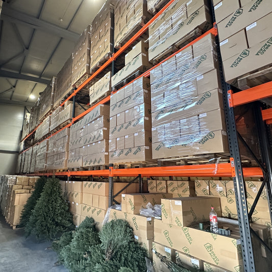 Sistem de Rafturi pentru Paleți