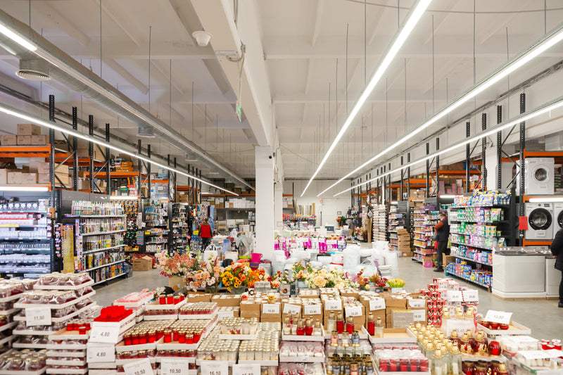 Proiect Rafturi Integrate Cash&Carry Avan-Const SRL