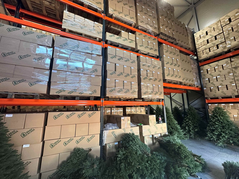 Proiect Rafturi pentru Paleți Diolsem SRL